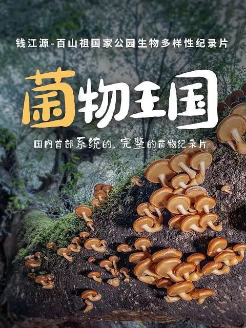 菌物王国 (2023)
