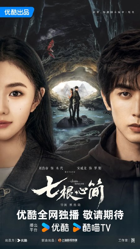 七根心简 (2025)