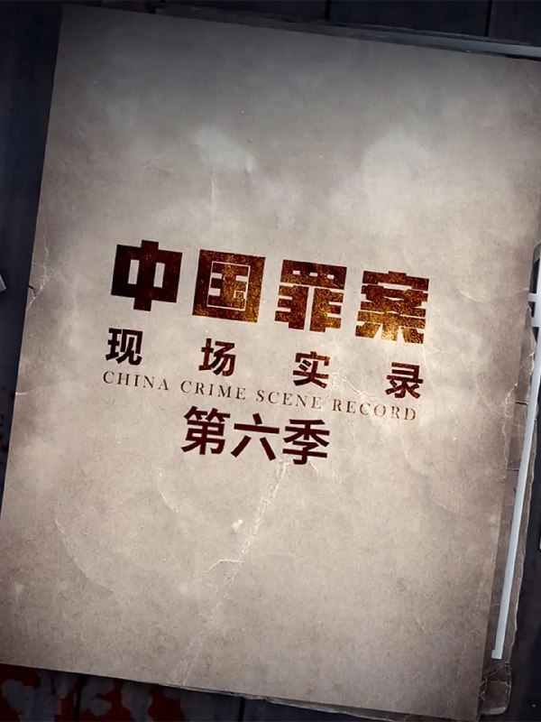 罪案现场实录 第六季 (2023)