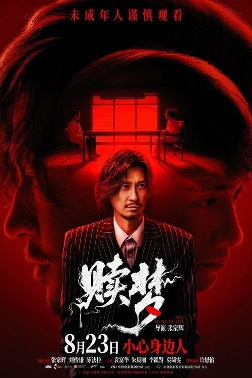 赎梦 (2025) 4K 高码 60帧