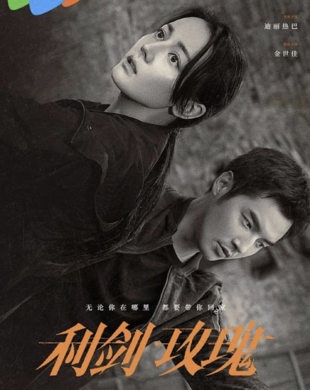 利剑·玫瑰 (2025) 4K 全集